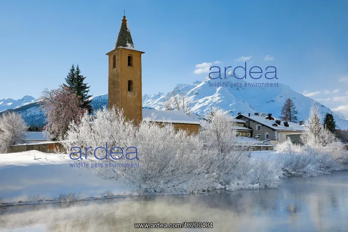 : St. Lorenz Church, Sils, GR, Switzerland, Europe : St. Lorenz Church, Sils, GR, Switzerland, Europe