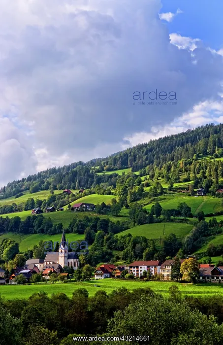  : St Lorenzo village in Murau Austria with