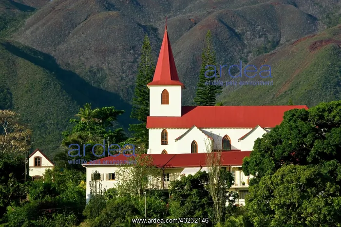 : St. Louis Church on late afternoon, St : St. Louis Church on late afternoon, St