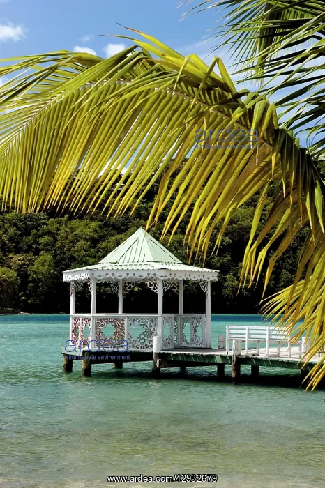 : St. Lucia - The Bandstand at Bamboo Bar, Marigot Bay : St. Lucia - The Bandstand at Bamboo Bar, Marigot Bay