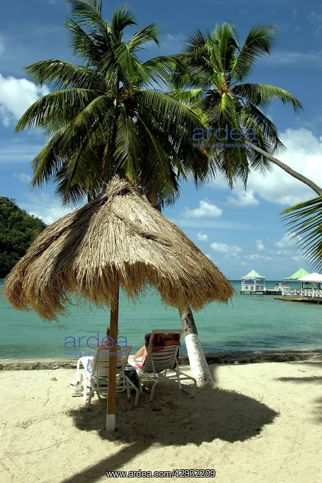 : St. Lucia - Tropical sun shade at Marigot Bay : St. Lucia - Tropical sun shade at Marigot Bay