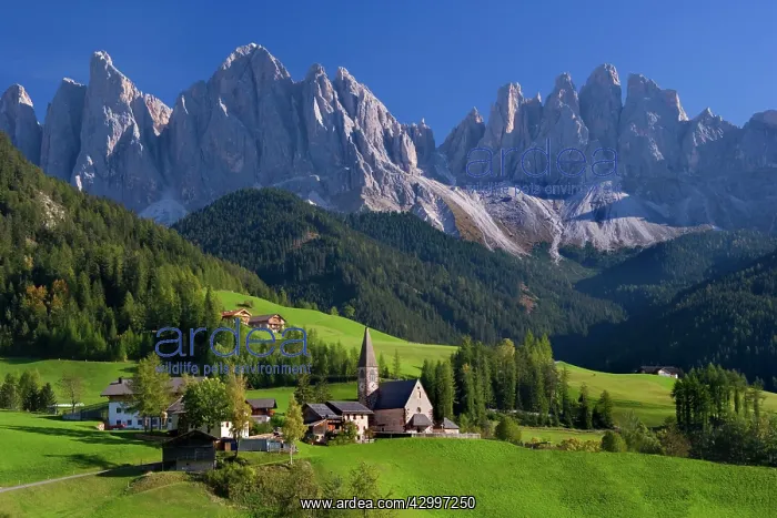 : St. Magdalena Church - picturesque view of famous : St. Magdalena Church - picturesque view of famous