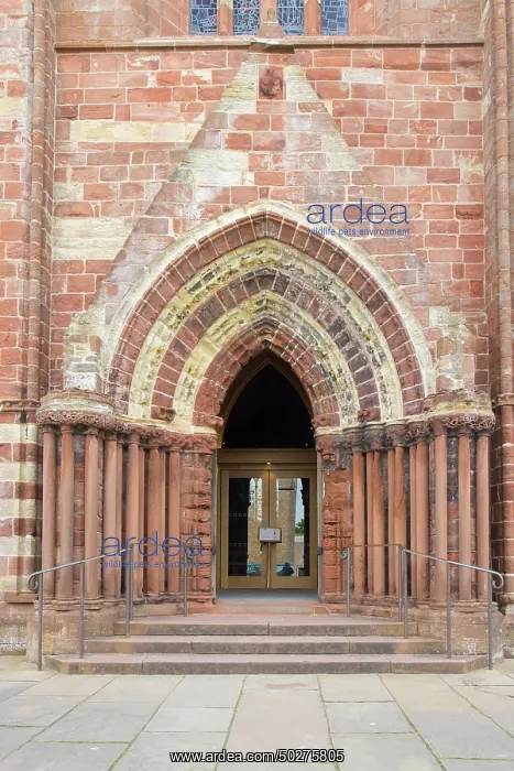 : St.-Magnus Cathedral : St.-Magnus Cathedral