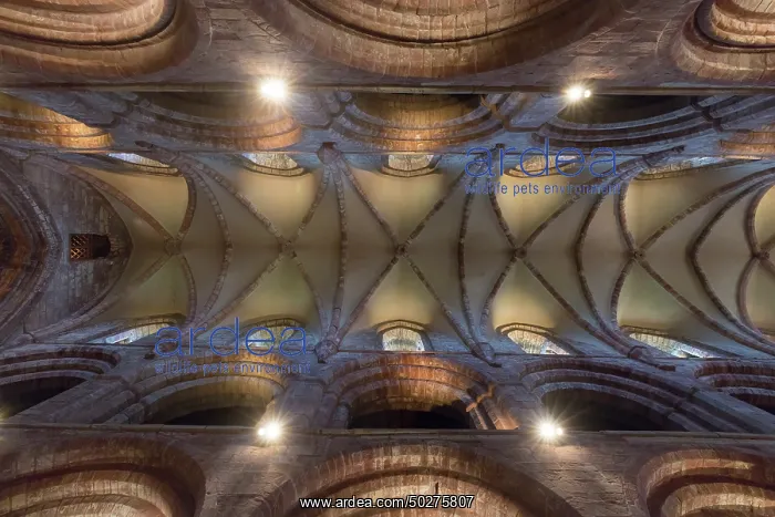: St.-Magnus Cathedral : St.-Magnus Cathedral
