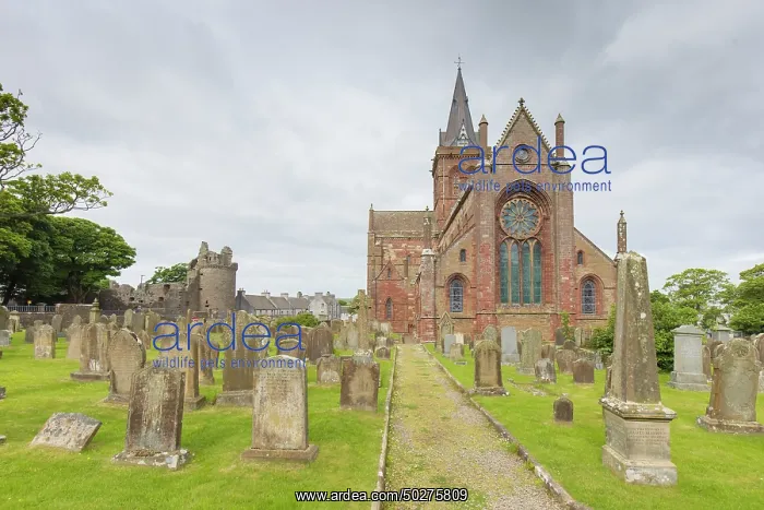 : St.-Magnus Cathedral : St.-Magnus Cathedral