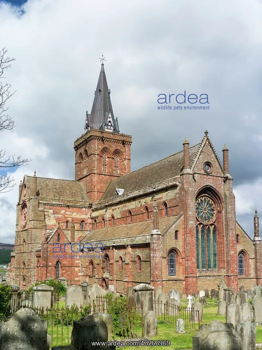: St. Magnus Cathedral, famous for its use : St. Magnus Cathedral, famous for its use