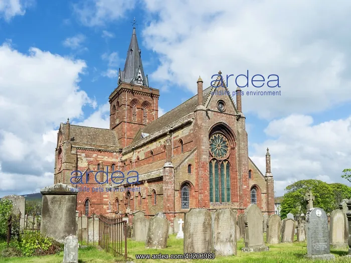 : St. Magnus Cathedral, famous for its use : St. Magnus Cathedral, famous for its use