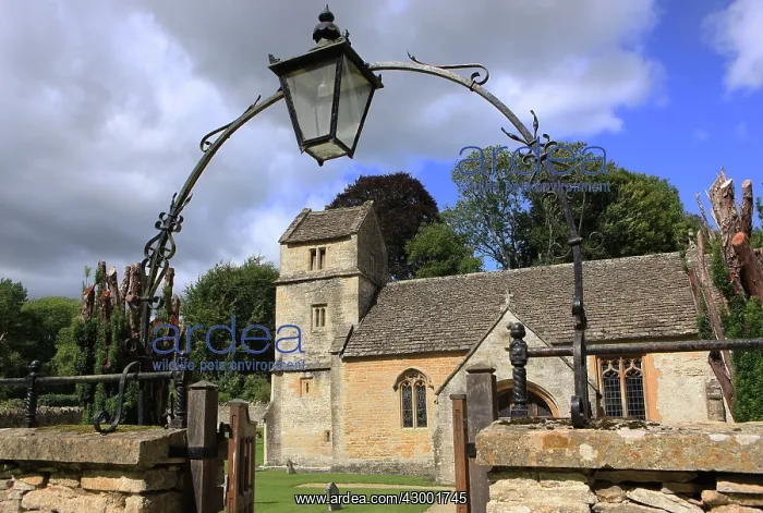 : St Margaret's Church : St Margaret's Church