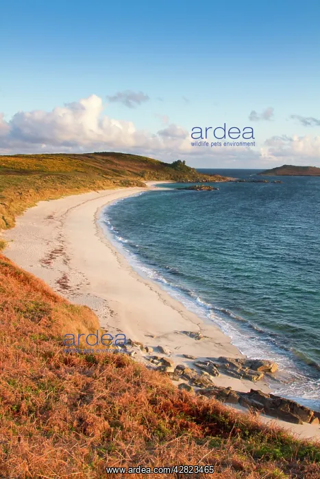 : St Martin's Bay - St Martin's - view towards White Island : St Martin's Bay - St Martin's - view towards White Island