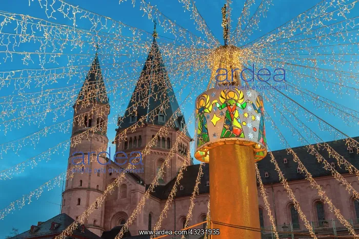: St. Martin's Cathedral, holiday lights at : St. Martin's Cathedral, holiday lights at