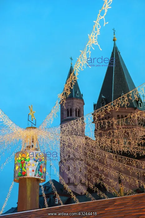 : St. Martin's Cathedral, holiday lights at : St. Martin's Cathedral, holiday lights at