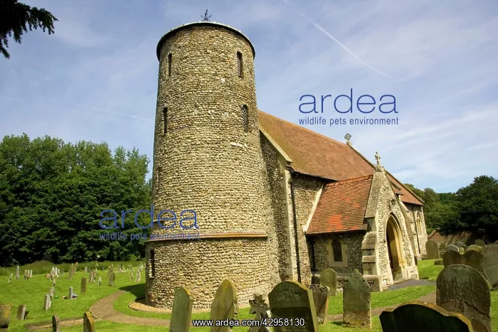 : St Marys Church with round stone tower : St Marys Church with round stone tower