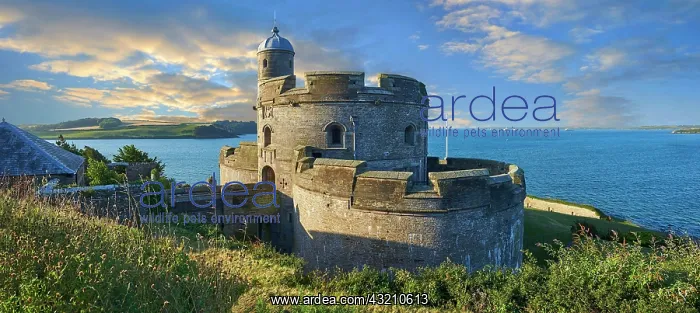 : St Mawes Castle, built in 1540 by King of England : St Mawes Castle, built in 1540 by King of England