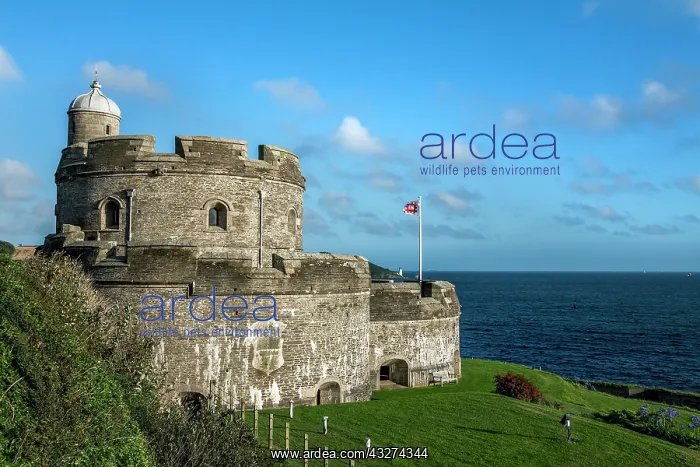 : St Mawes Castle - Cornwall - UK : St Mawes Castle - Cornwall - UK