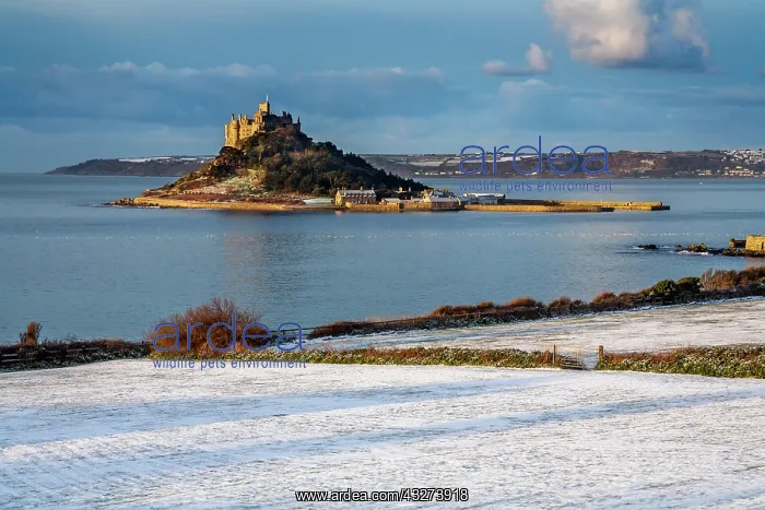 : St Michaels Mount - Snow - Cornwall - UK : St Michaels Mount - Snow - Cornwall - UK