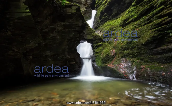 : St Nectan's Glen Waterfalls in Cornwall : St Nectan's Glen Waterfalls in Cornwall