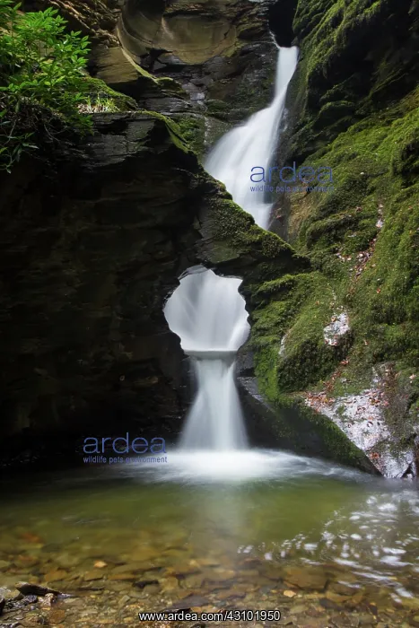 : St Nectan's Glen Waterfalls in Cornwall : St Nectan's Glen Waterfalls in Cornwall