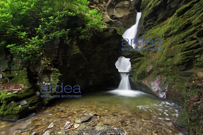 : St Nectan's Glen Waterfalls in Cornwall : St Nectan's Glen Waterfalls in Cornwall