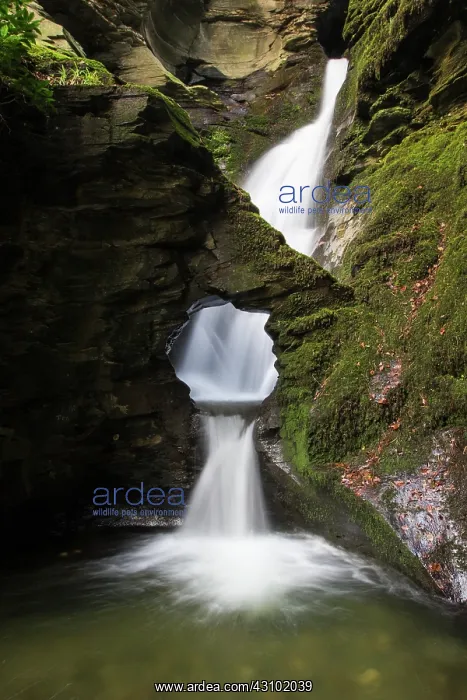 : St Nectan's Glen Waterfalls in Cornwall : St Nectan's Glen Waterfalls in Cornwall
