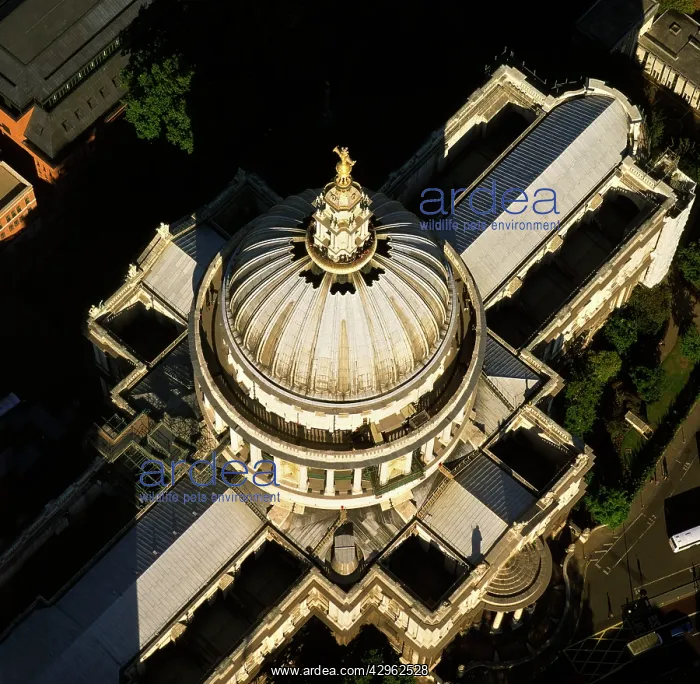 : St. Paul's Cathedral, an Anglican cathedral and : St. Paul's Cathedral, an Anglican cathedral and