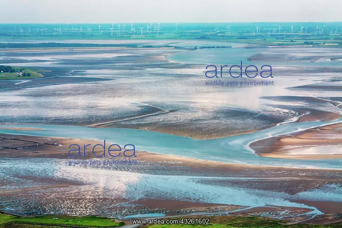 : St. Peter-Ording, Aerial Photo of the Schleswig-Holstein : St. Peter-Ording, Aerial Photo of the Schleswig-Holstein