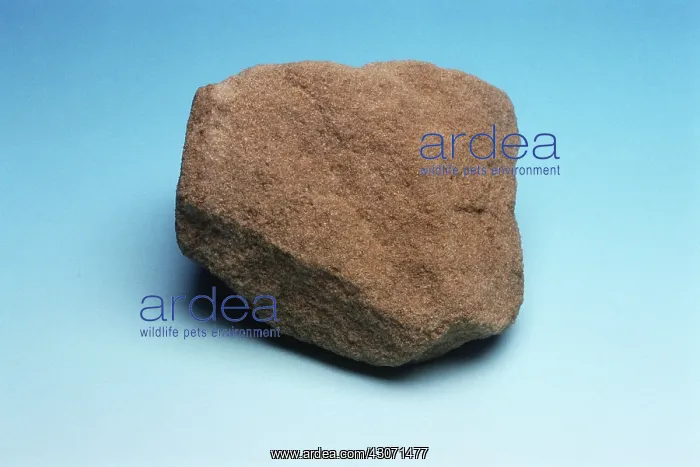 : St. Peter Sandstone : St. Peter Sandstone