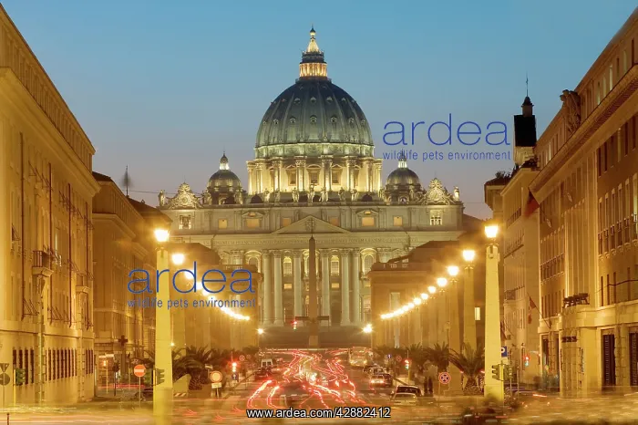: St Peters. The Vatican - Rome - Italy : St Peters. The Vatican - Rome - Italy