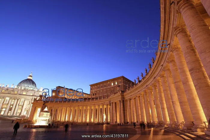: St. Peters Square and Apostolic Palace at night : St. Peters Square and Apostolic Palace at night