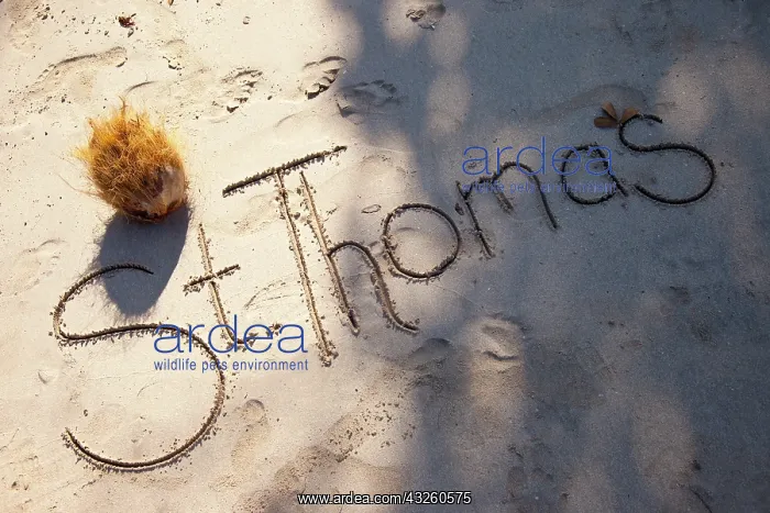 : St. Thomas written script in the sand of : St. Thomas written script in the sand of