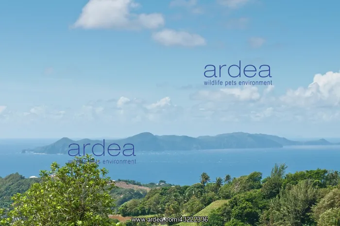 : St. Vincent and the Grenadines. Bequia seen : St. Vincent and the Grenadines. Bequia seen