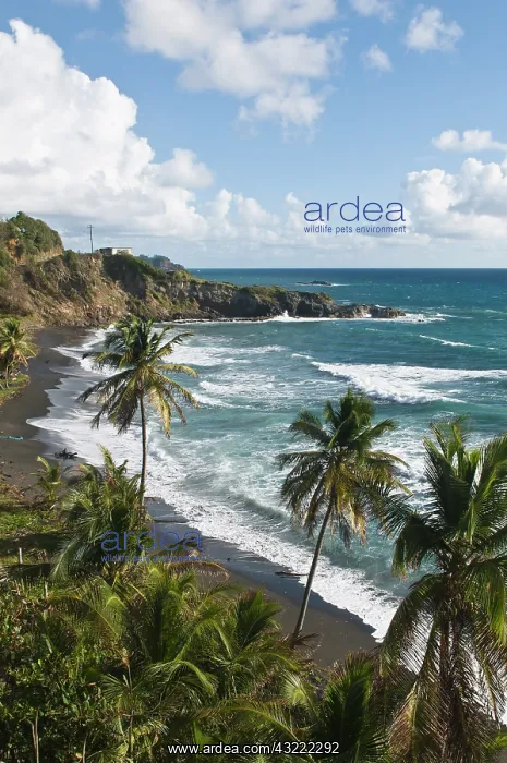 : St. Vincent and the Grenadines. Windward : St. Vincent and the Grenadines. Windward