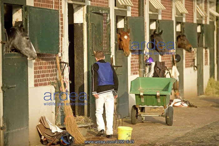 : Stableyard - with jockey and horses looking over : Stableyard - with jockey and horses looking over