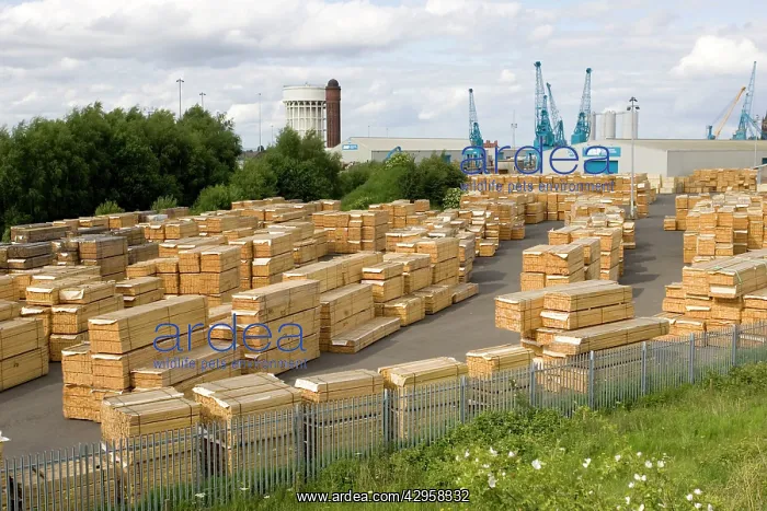 : Stacked timber at Goole docks : Stacked timber at Goole docks
