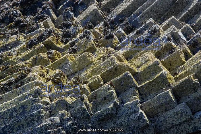 : Staffa Island, volcanic island formed of basaltic : Staffa Island, volcanic island formed of basaltic