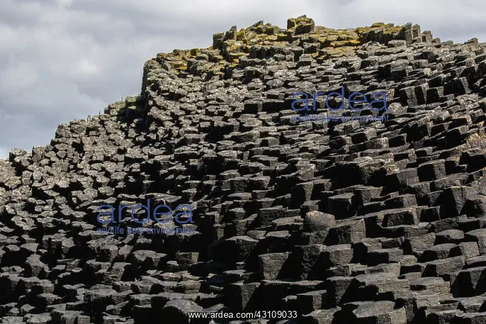 : Staffa Island, volcanic island formed of basaltic : Staffa Island, volcanic island formed of basaltic