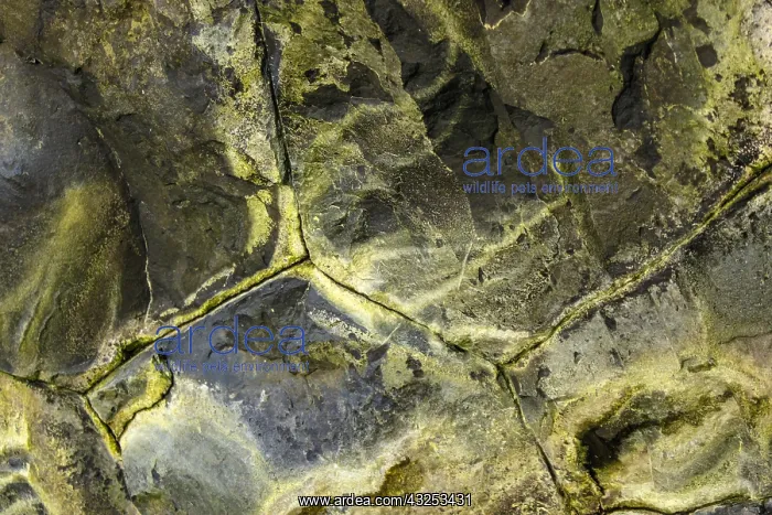 : Staffa Island, volcanic island formed of basaltic : Staffa Island, volcanic island formed of basaltic