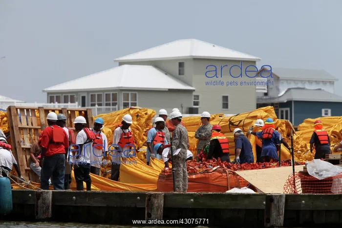 : Staging area for BP oil spill cleanup : Staging area for BP oil spill cleanup