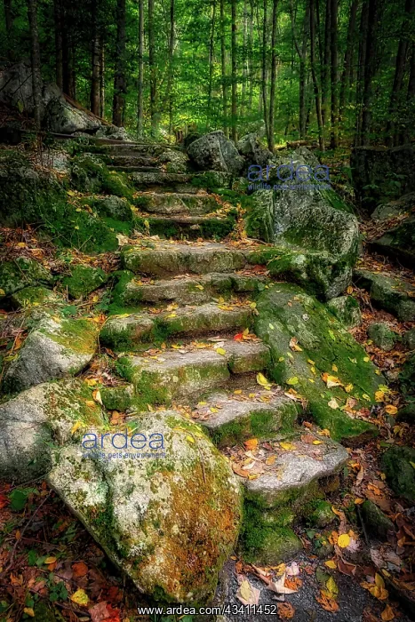 : Staircase to Wigwam Falls, Virginia, Blue Ridge Parkway : Staircase to Wigwam Falls, Virginia, Blue Ridge Parkway