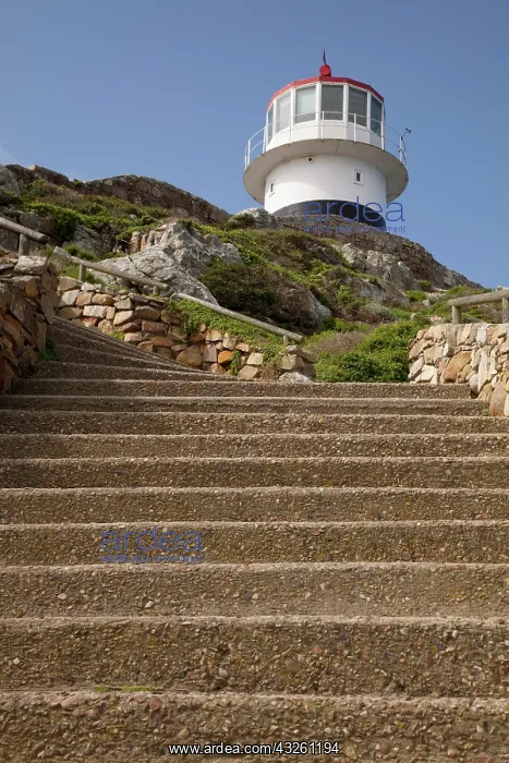 : Stairs leading to lighthouse atop hill : Stairs leading to lighthouse atop hill