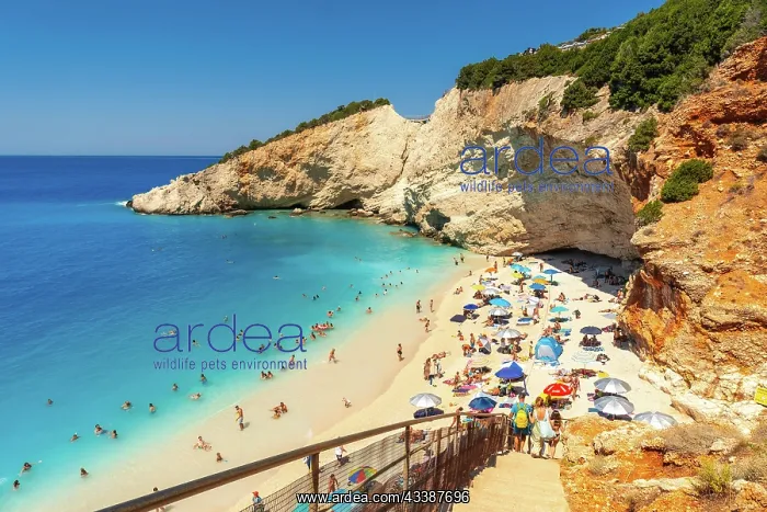 : Stairs leading to Porto Katsiki beach on Lefkada i : Stairs leading to Porto Katsiki beach on Lefkada i