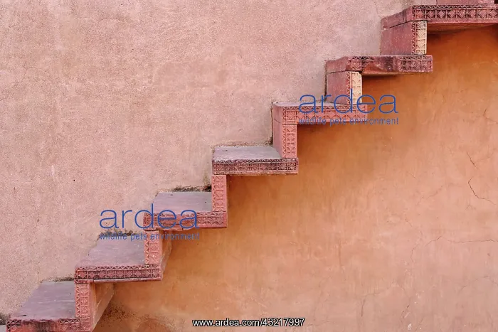 : Stairs on wall, Fatehpur Sikri, in the state : Stairs on wall, Fatehpur Sikri, in the state