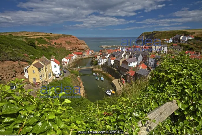 : Staithes, Staithes, North Yorkshire : Staithes, Staithes, North Yorkshire