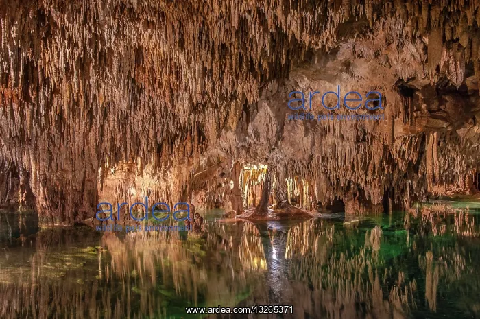 : Stalactite cave, Aktun Chen Nature Park, Riviera : Stalactite cave, Aktun Chen Nature Park, Riviera