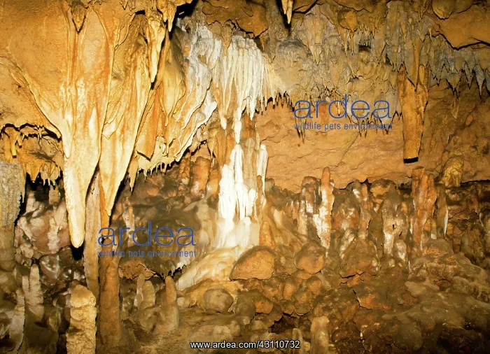  : Stalactite Formations in Florida Caverns State Park