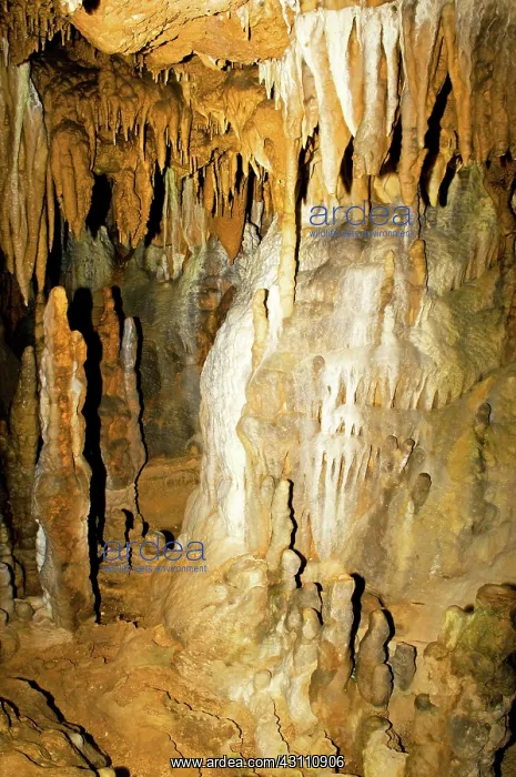 : Stalactite and Limestone Cascade Formations : Stalactite and Limestone Cascade Formations