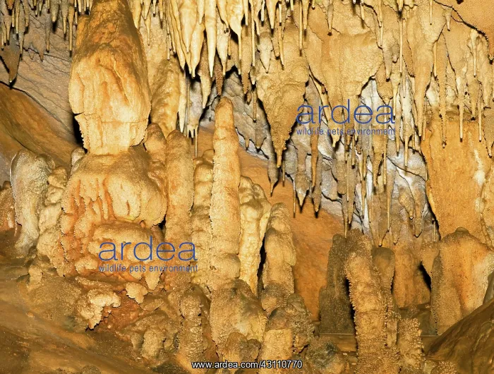 : Stalactite and Stalagmite Formations : Stalactite and Stalagmite Formations