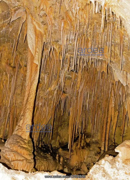 : Stalactite and Stalagmite Formations in Carlsbad Caverns : Stalactite and Stalagmite Formations in Carlsbad Caverns