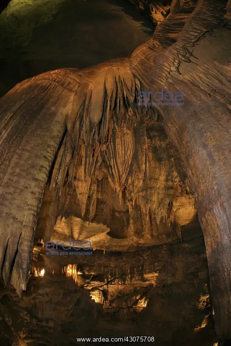 : Stalactites : Stalactites