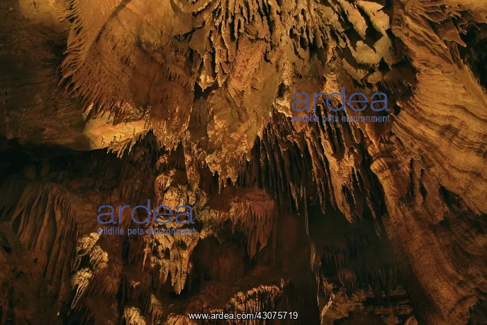 : Stalactites : Stalactites