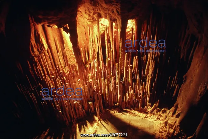 : Stalactites : Stalactites